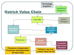 Value Chain Small