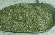 Ground Feed