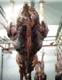 Figure 25